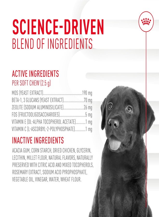 Royal Canin Puppy Supplement Soft Chews for Immunity & Digestion, 60 Count - Image 5